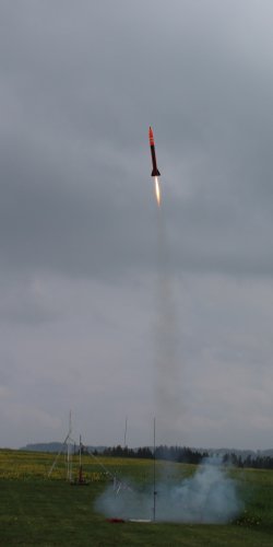 img_8244 janin model pluto - let w